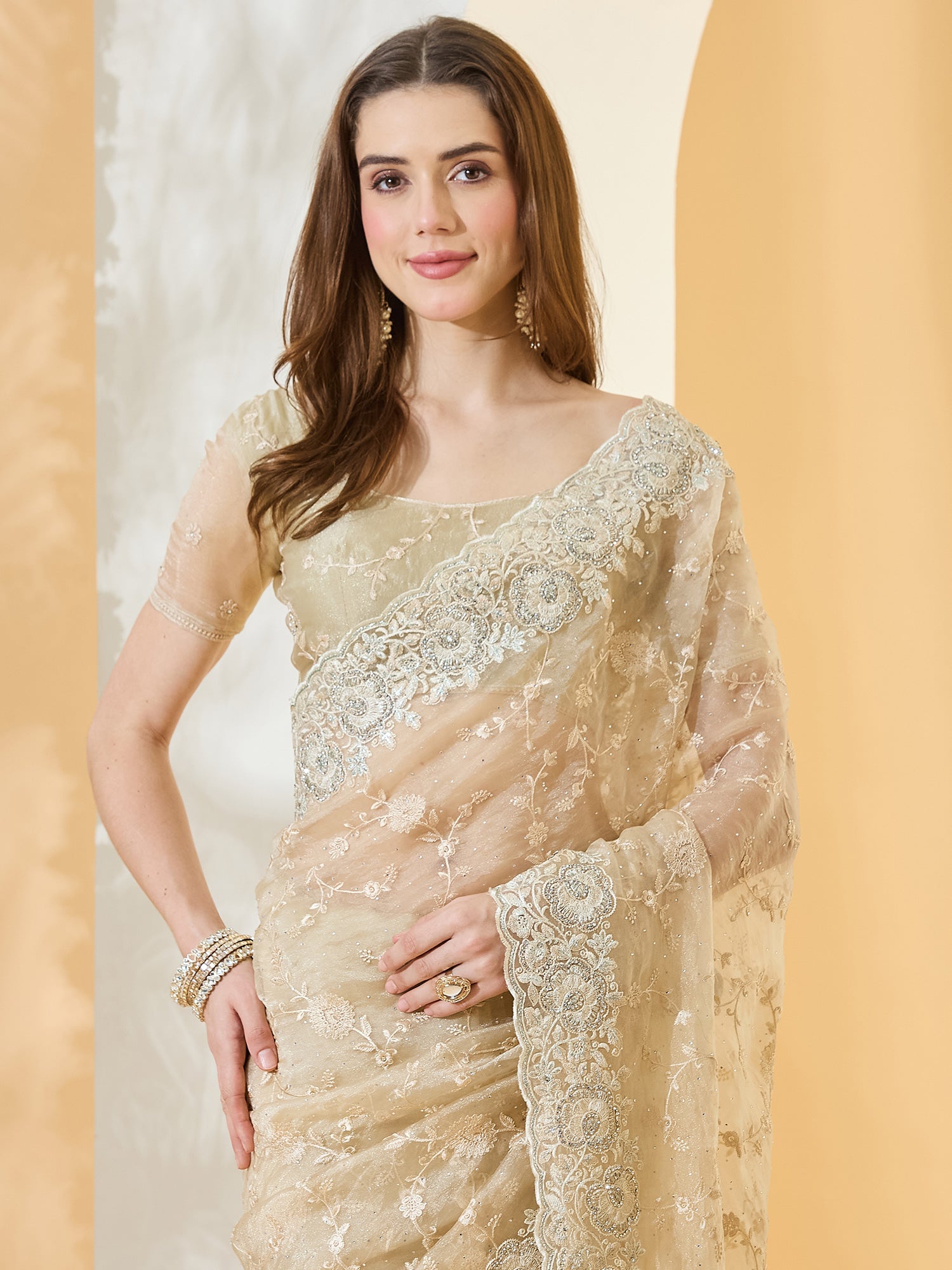 Beige Organza saree – detail view 4