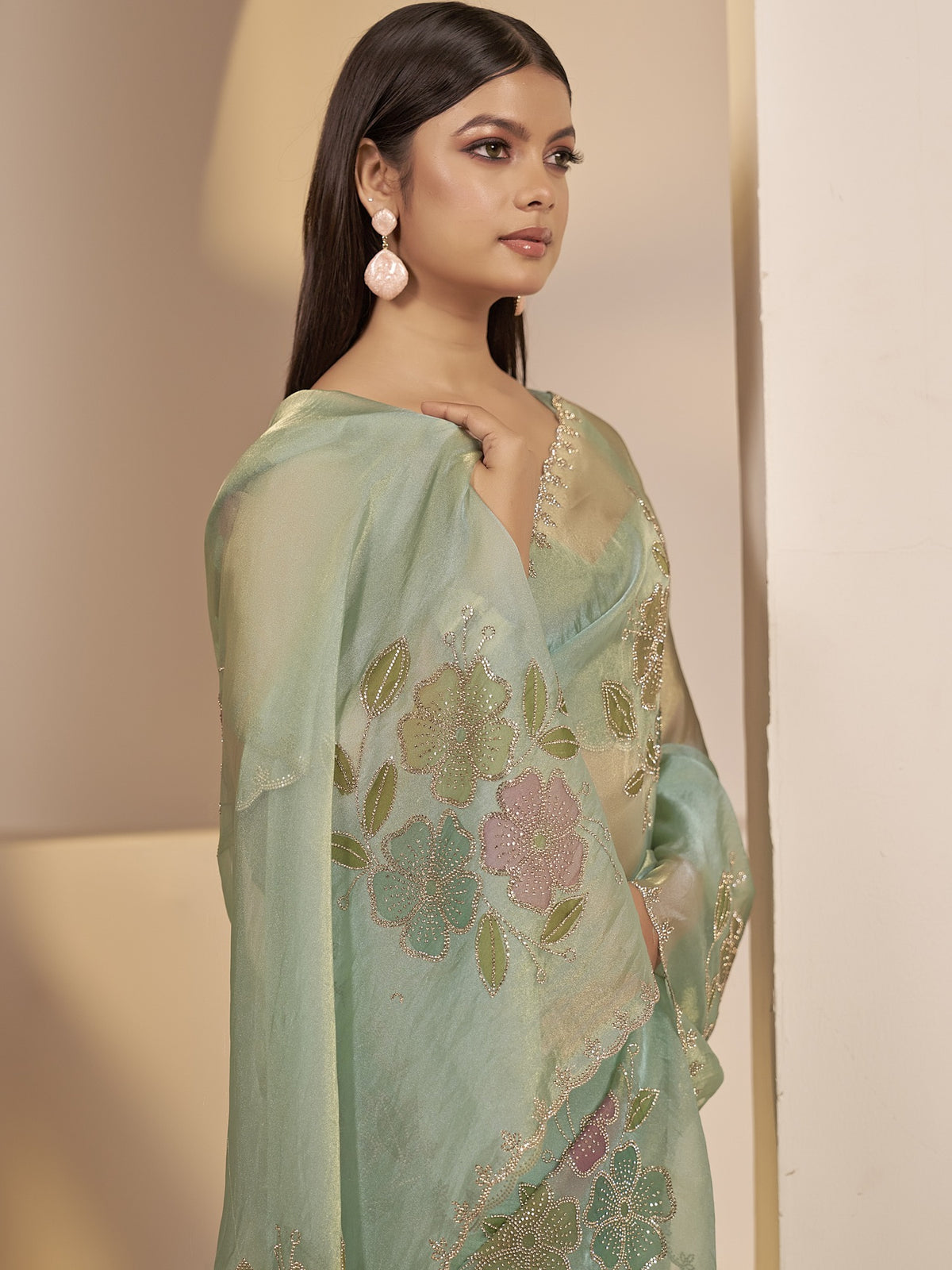 Sea Green organza saree view 2