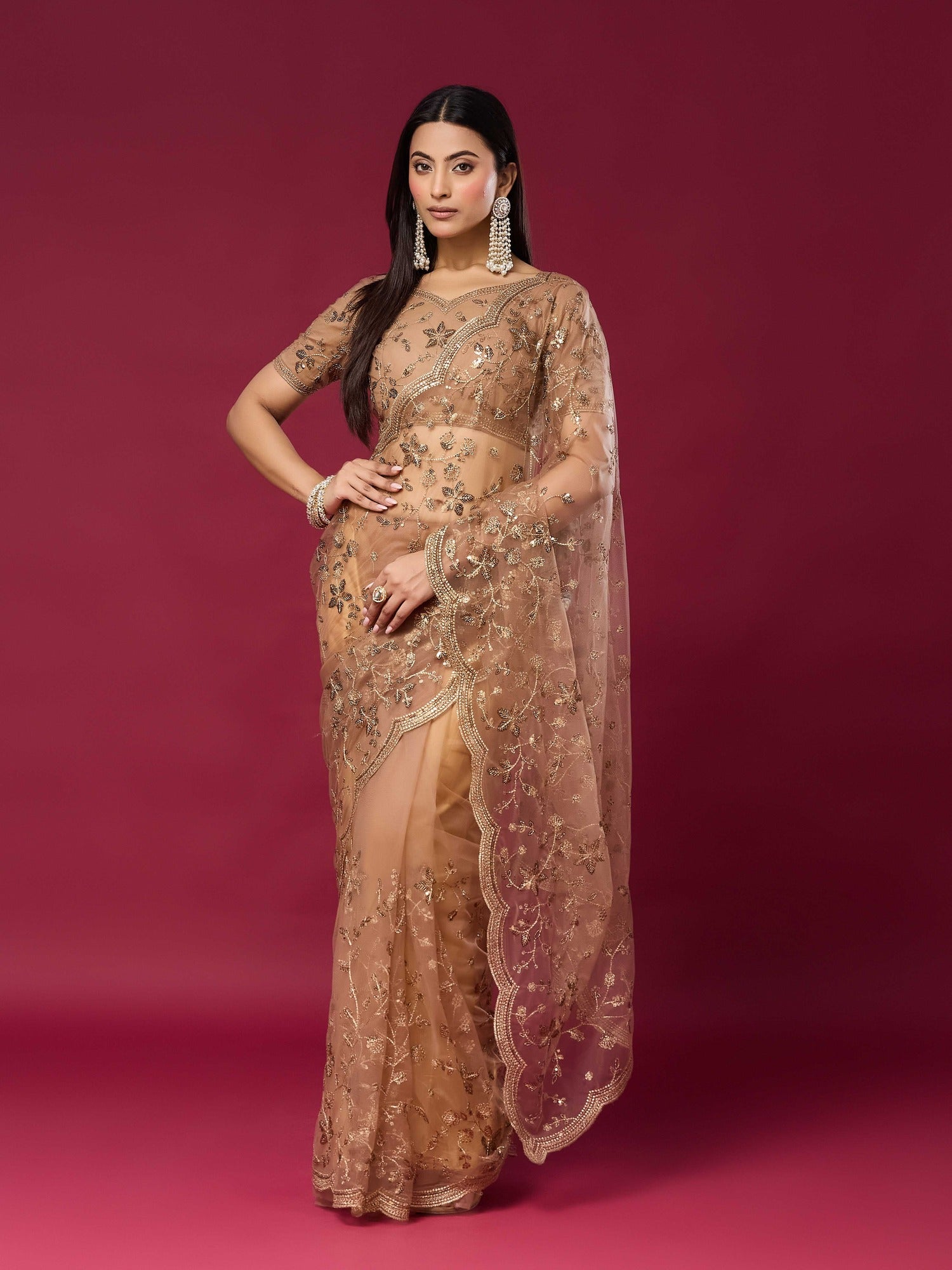 Woman wearing beige net saree with ornamented surface design and beige blouse