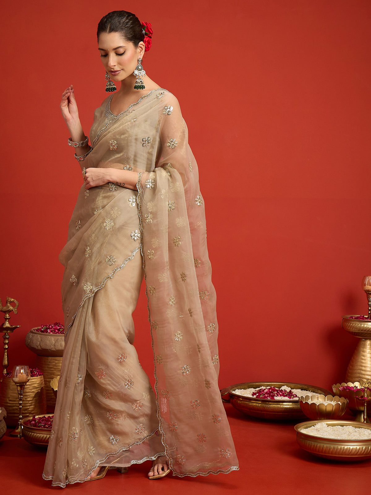 Beige Chiffon saree – detail view 1