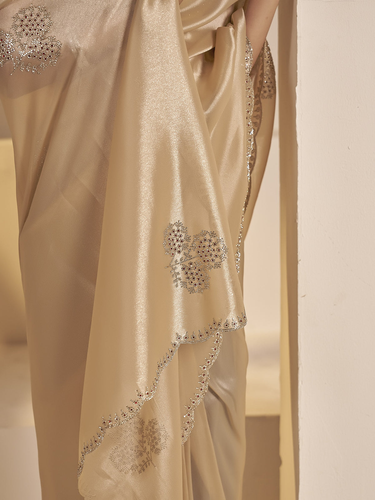 Champagne organza saree view 6