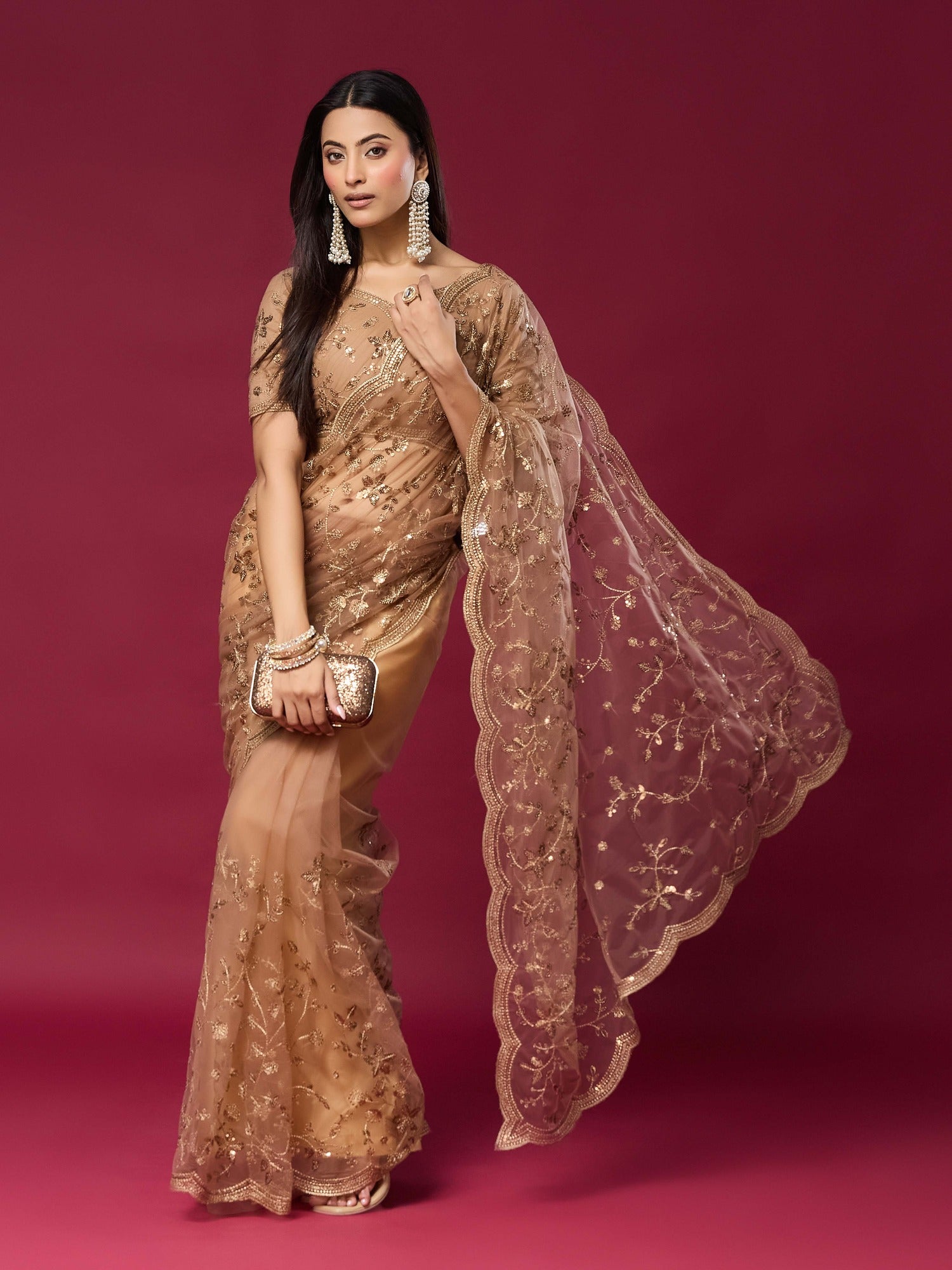 Beige Net saree – detail view 3