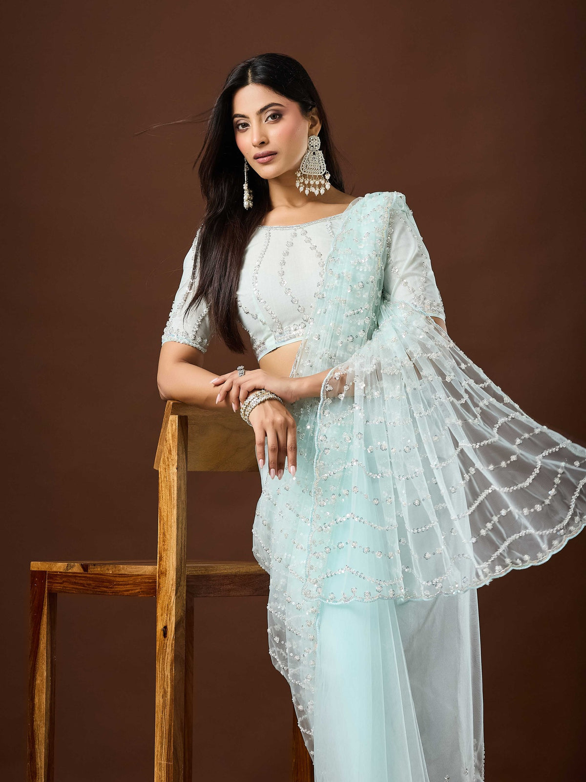 Light Blue Net saree – detail view 2