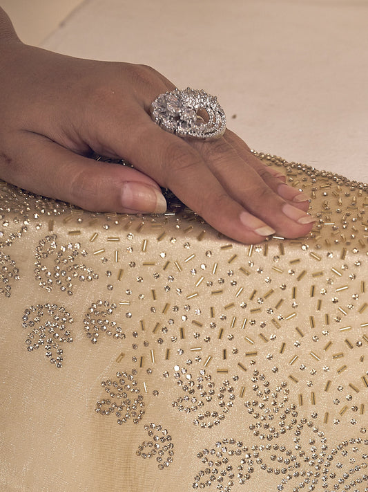 Champagne organza saree view 1