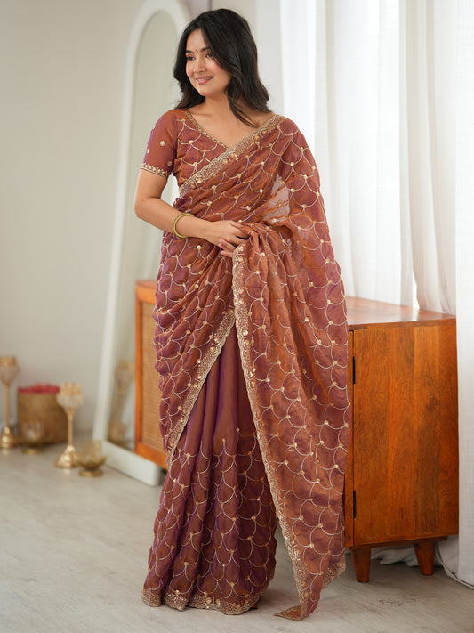 Woman wearing rust tissue saree with ornamented surface design and rust blouse