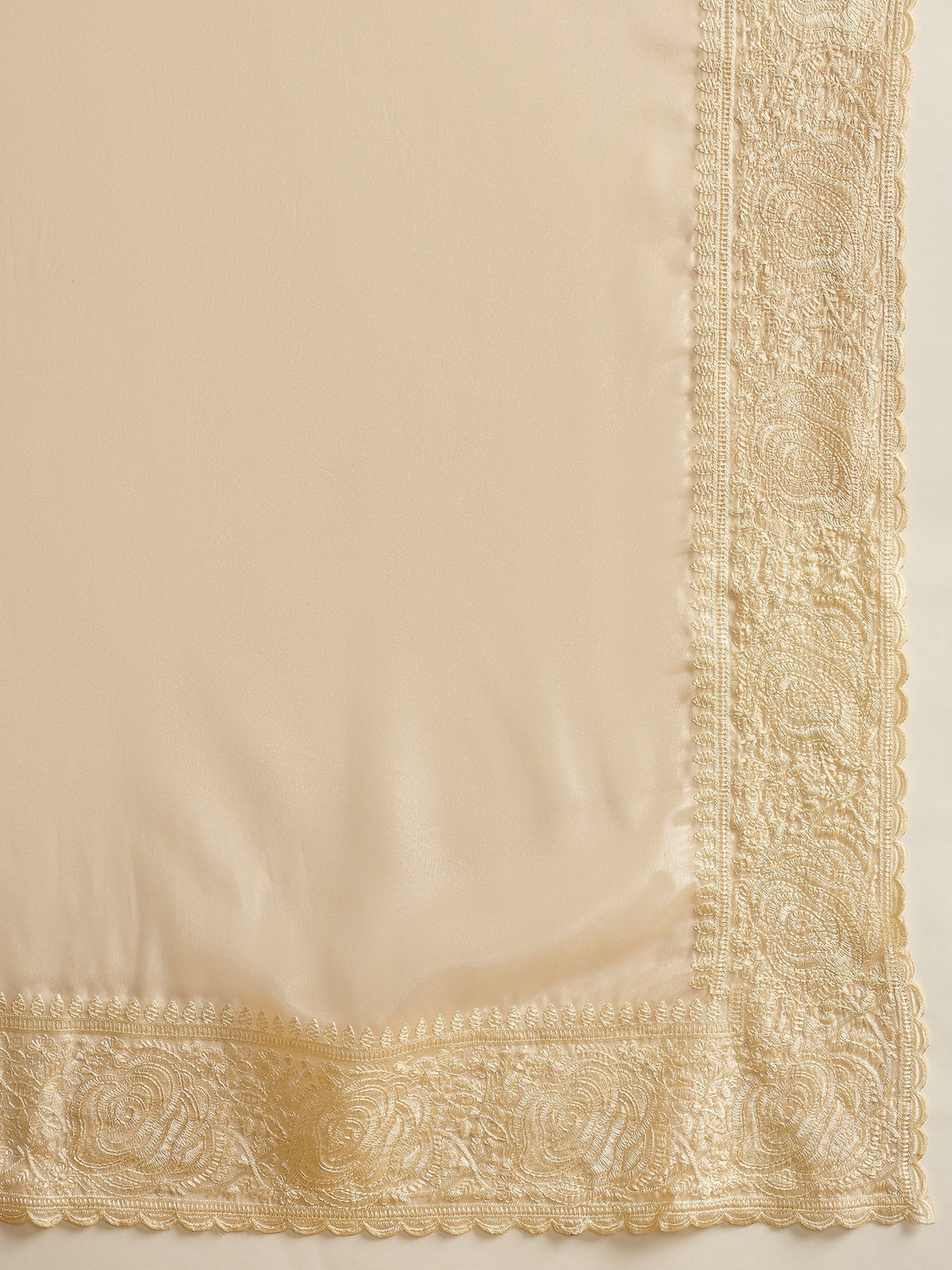 Beige Organza saree – detail view 4