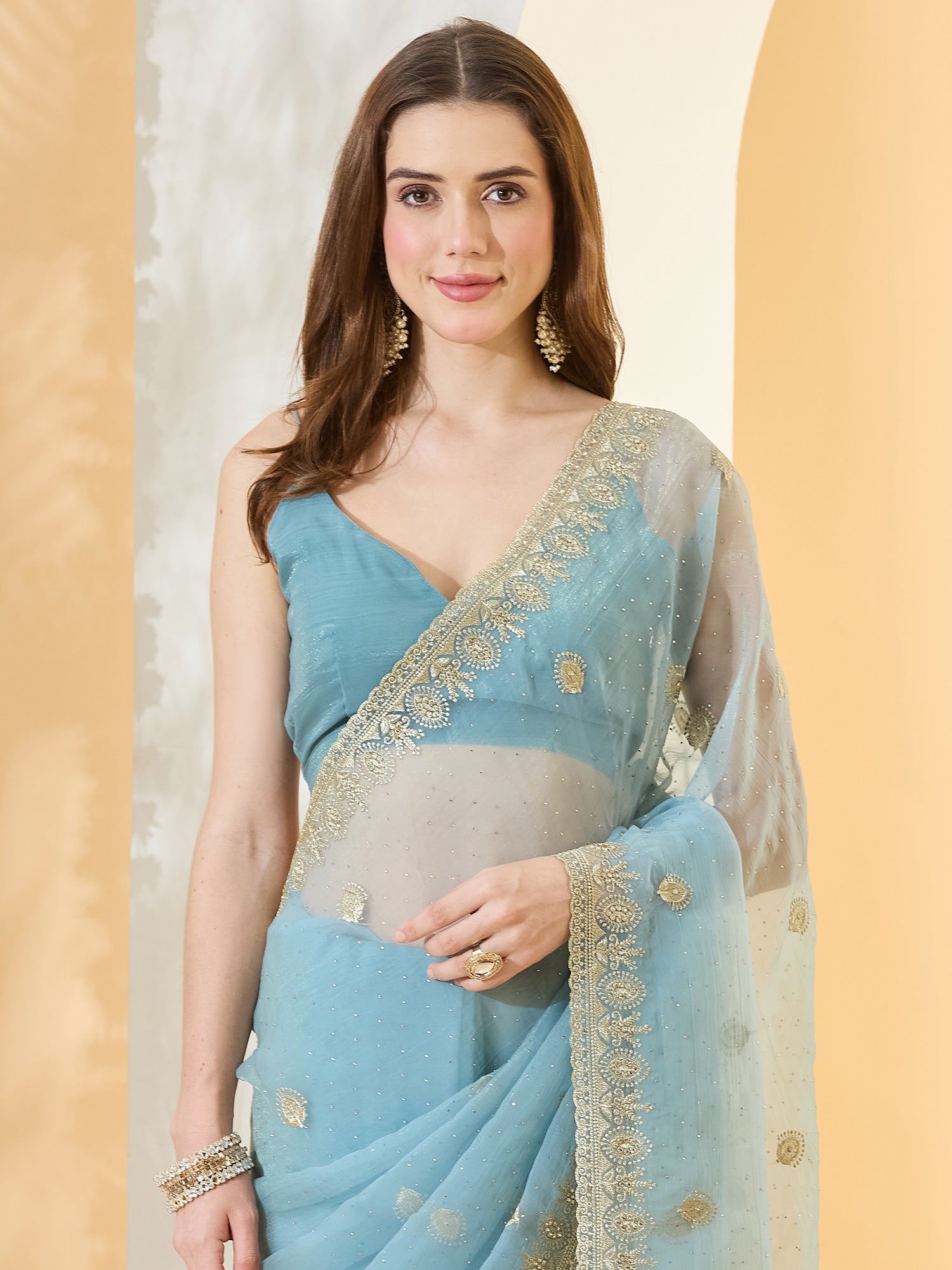 Light Blue Tissue saree – detail view 4