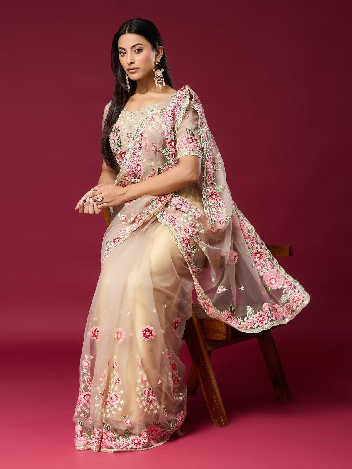 Beige Net saree – detail view 4