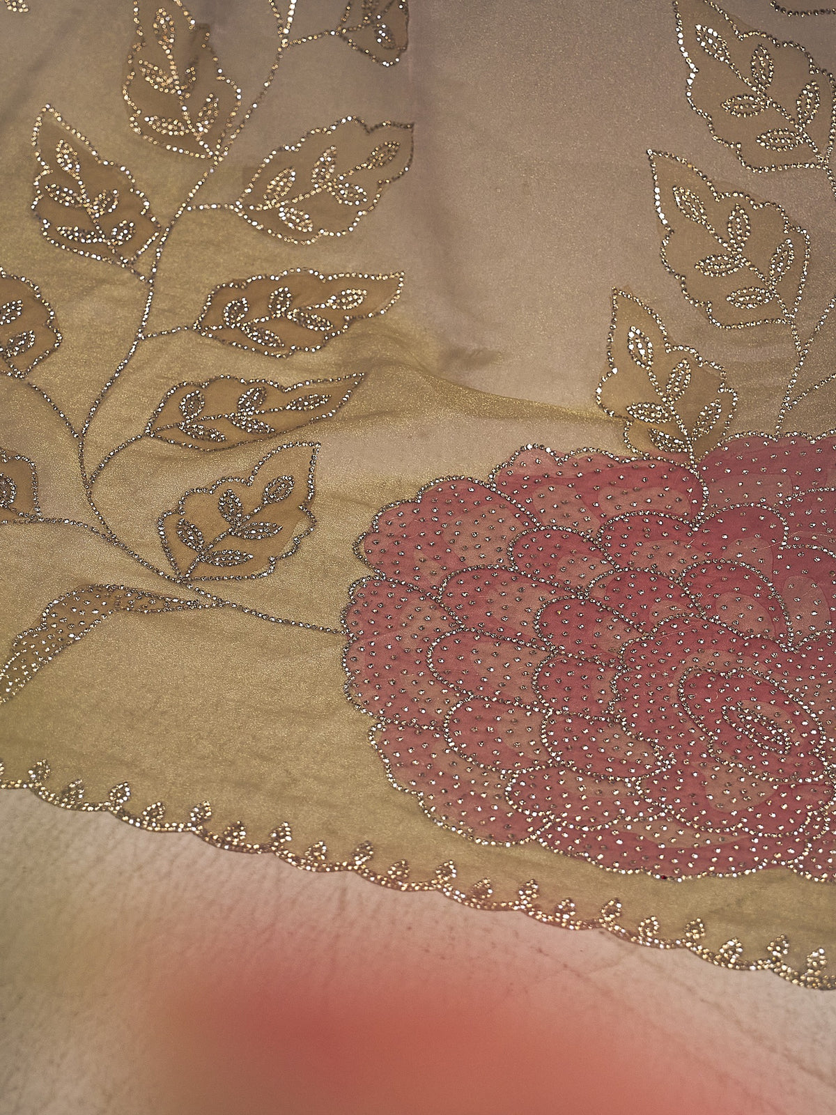 Champagne organza saree view 4