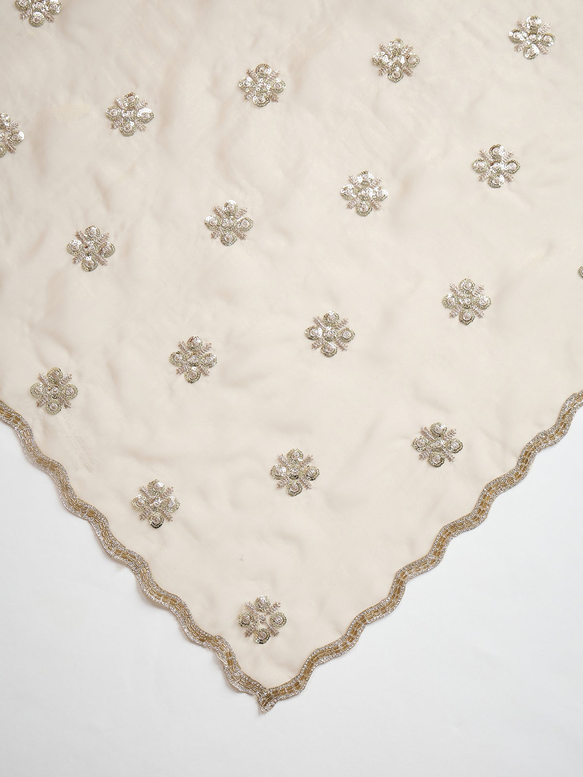 Beige Chiffon saree – detail view 4