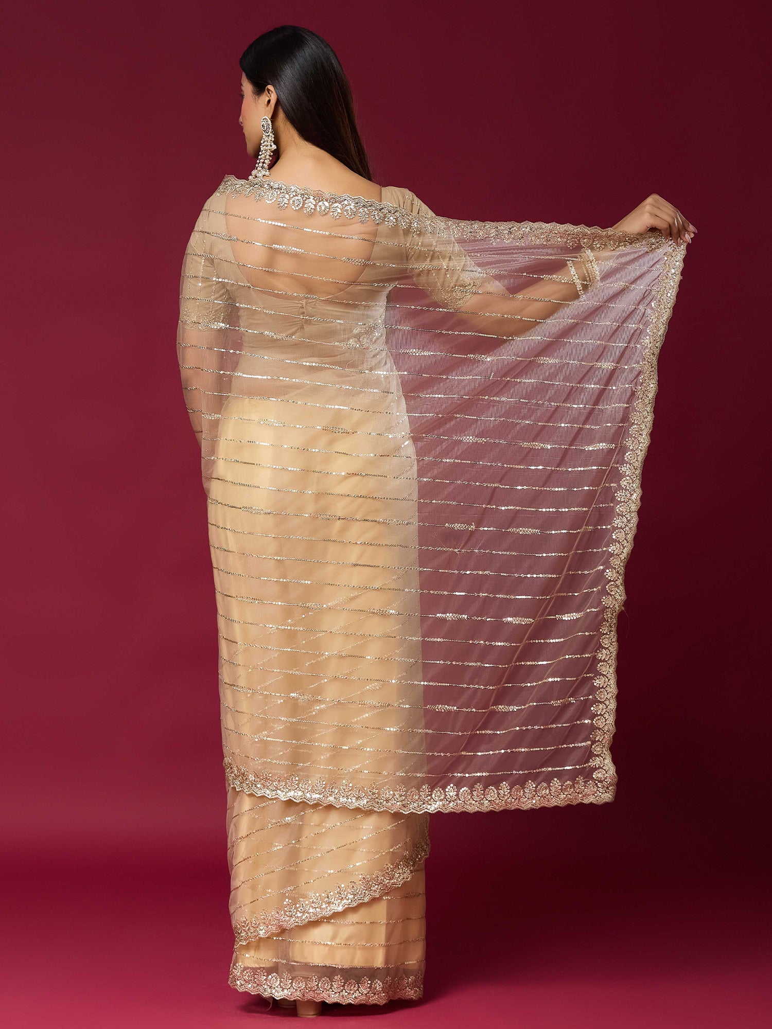 Beige Net saree – detail view 1