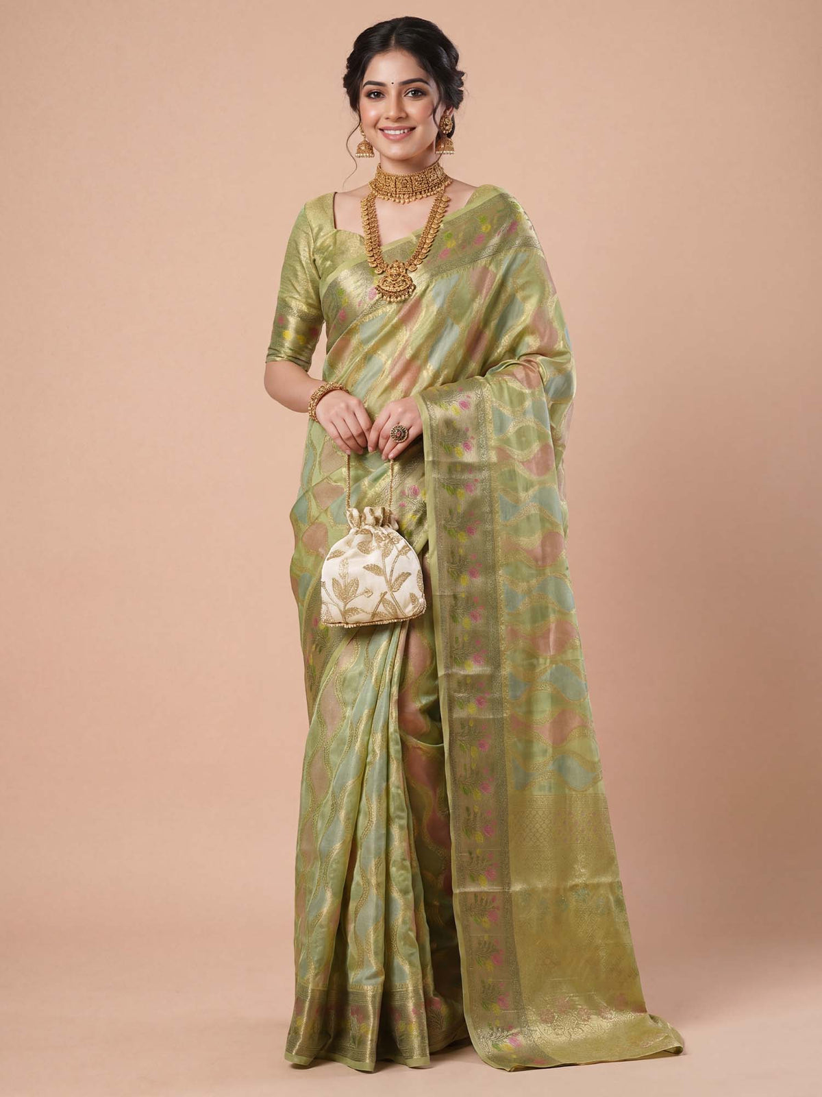 Woman wearing light green organza saree with traditional indian motif work and light green blouse