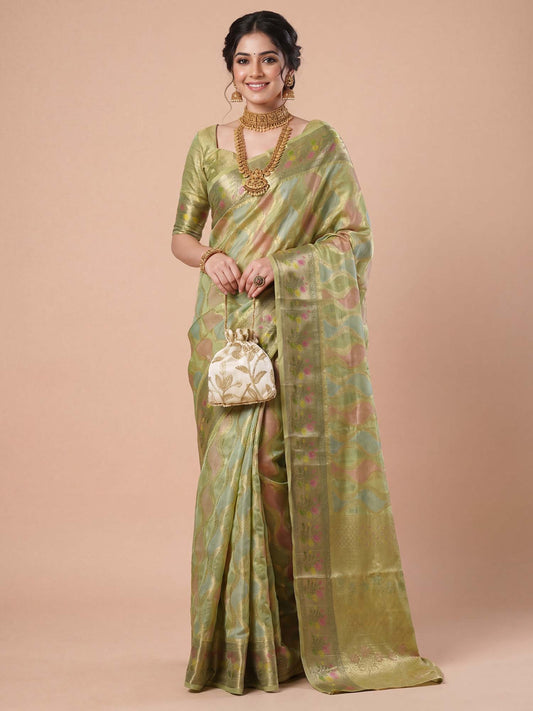 Woman wearing light green organza saree with traditional indian motif work and light green blouse