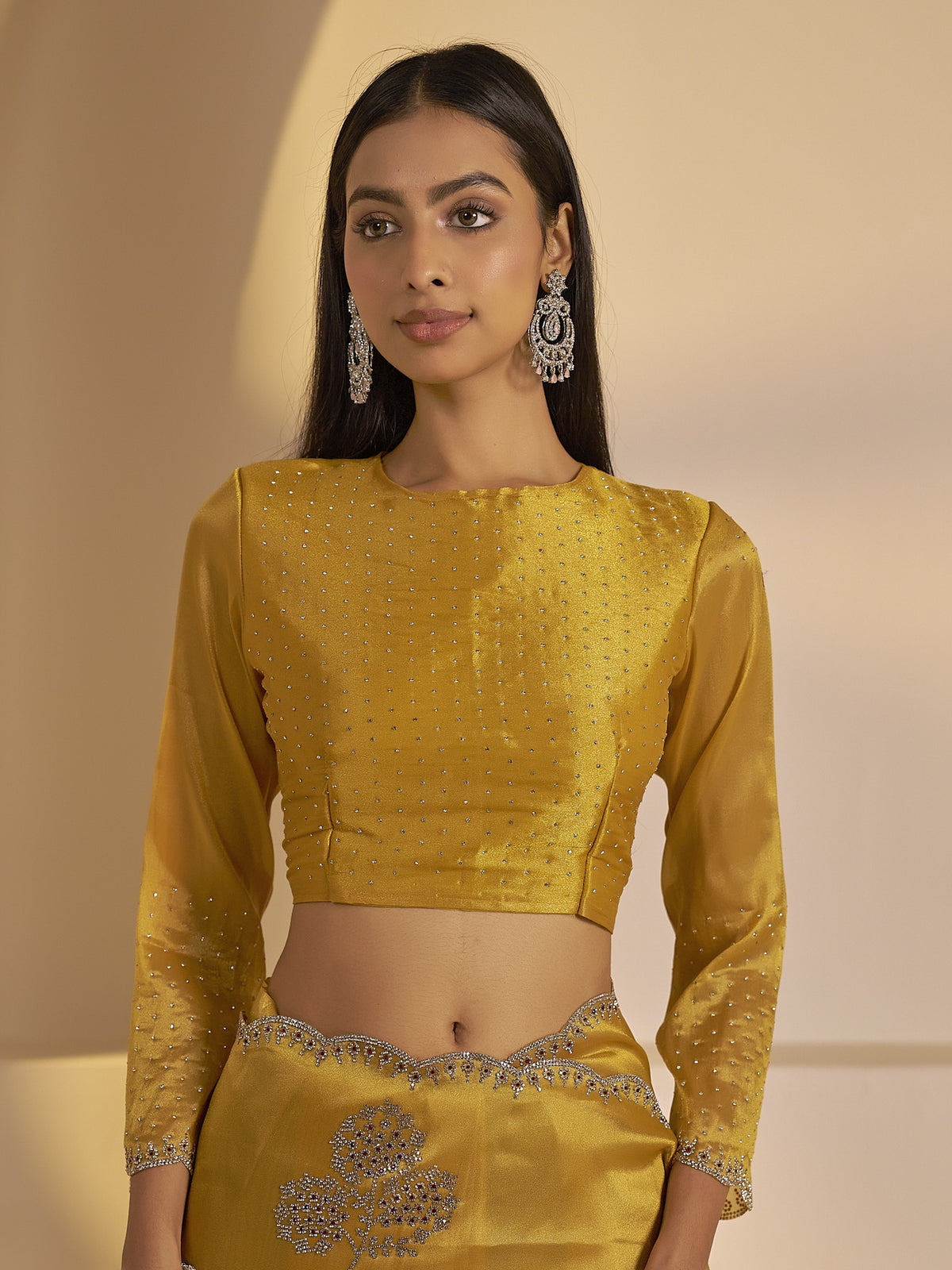 Gold organza saree view 5