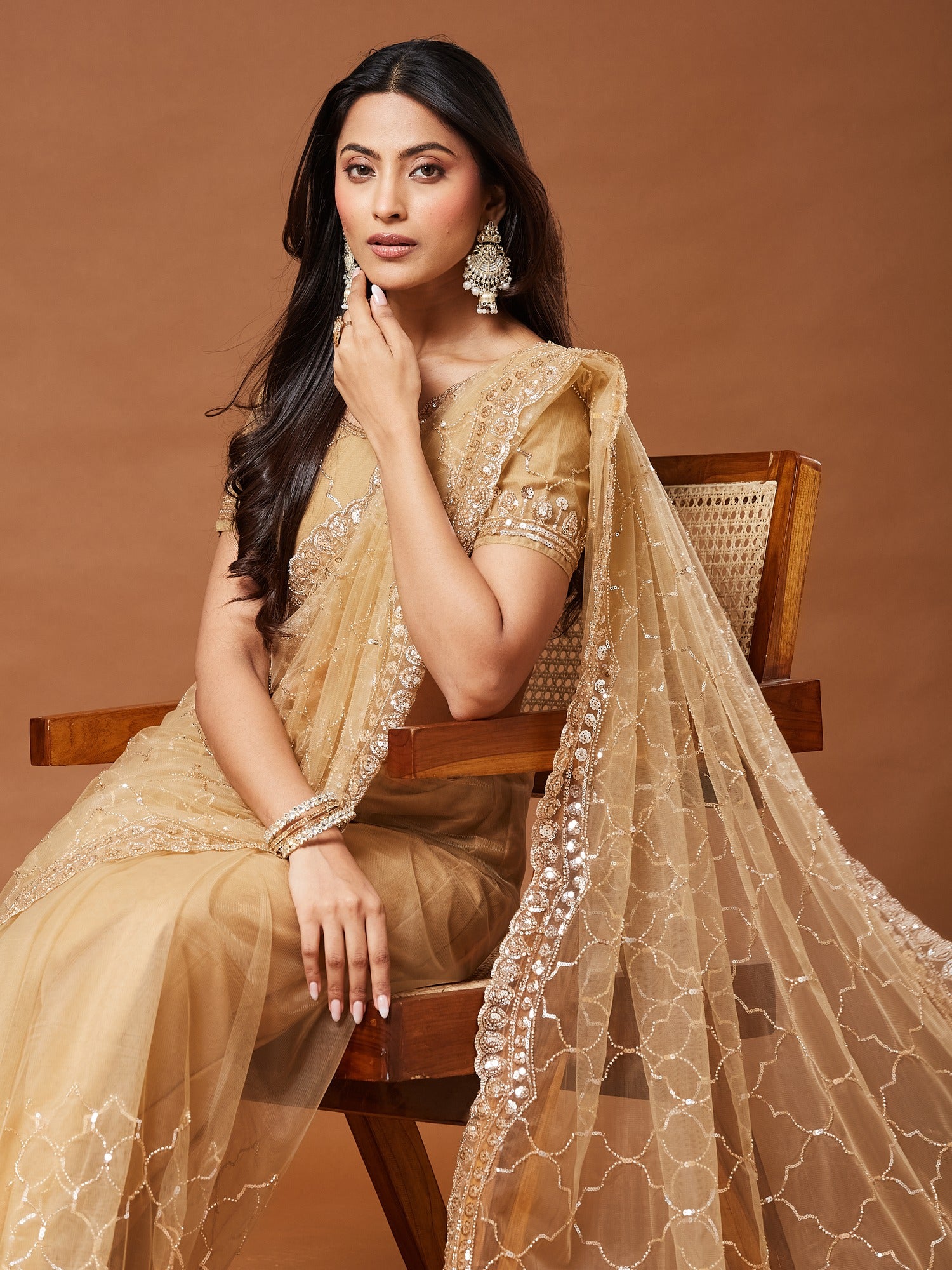 Beige Net saree – detail view 4