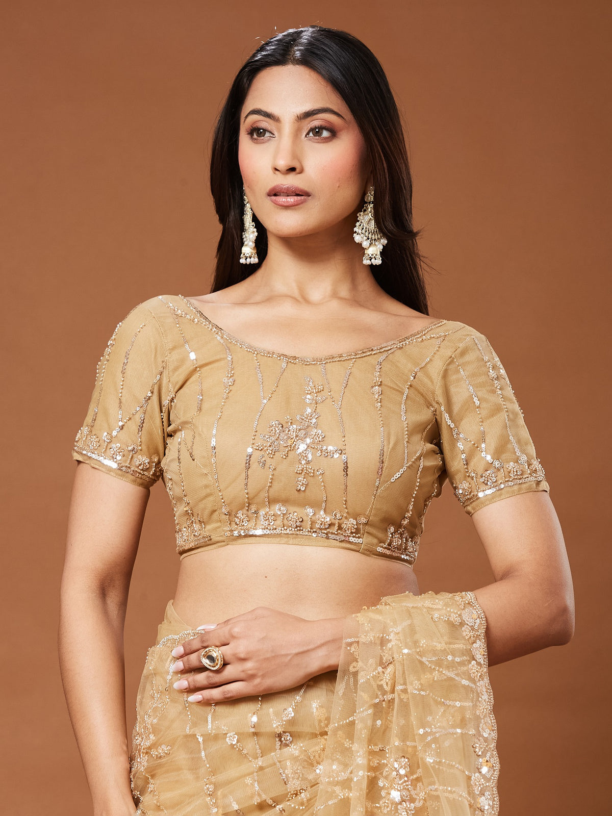 Beige Net saree – detail view 6