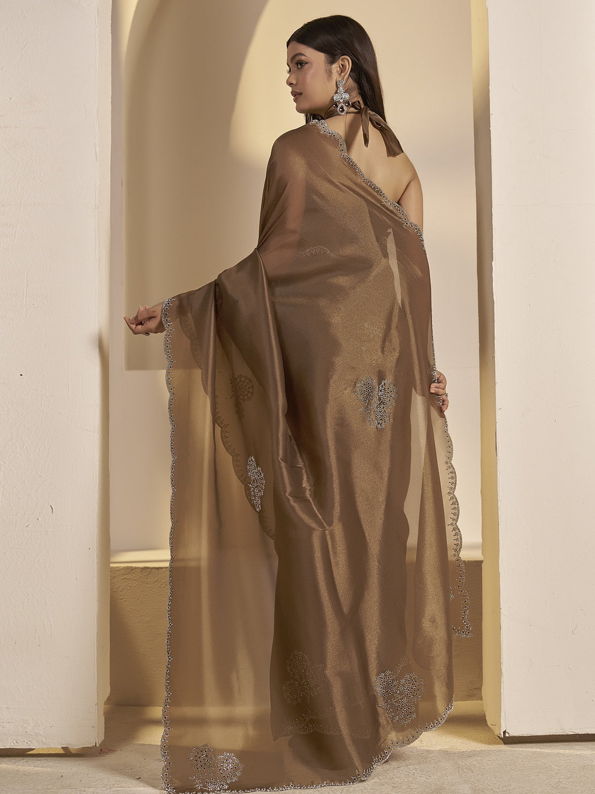 Brown organza saree view 5