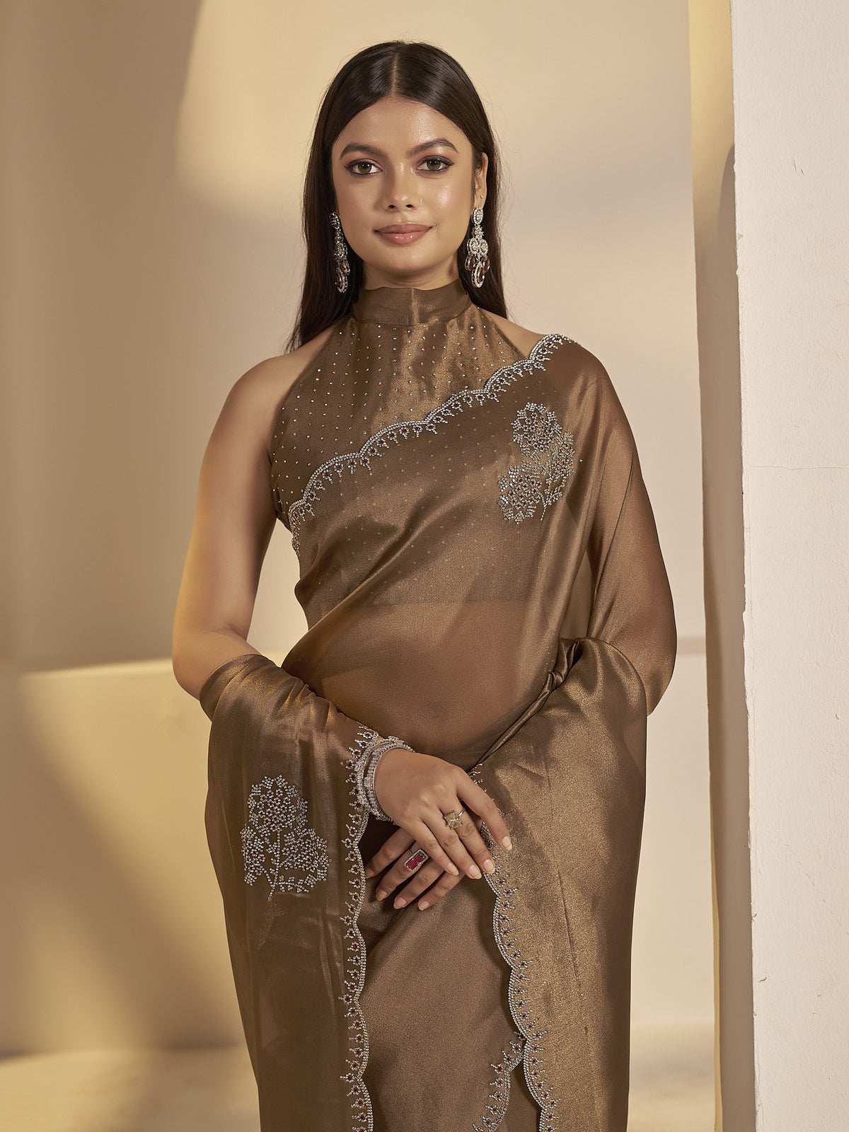 Brown organza saree view 4