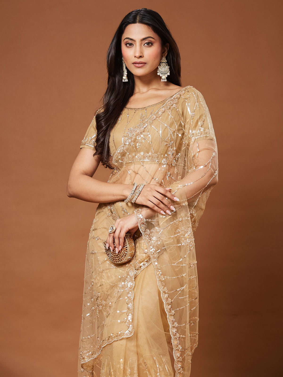 Beige Net saree – detail view 2