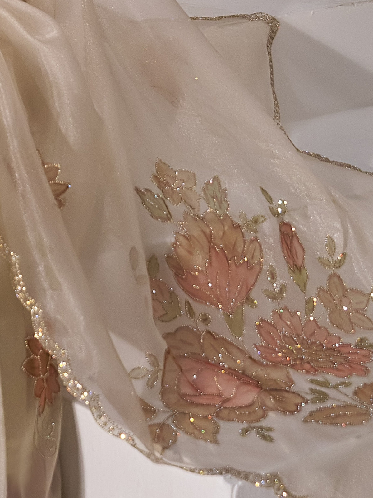 Pallu detail of champagne organza saree showing ornamented surface design and embellished border