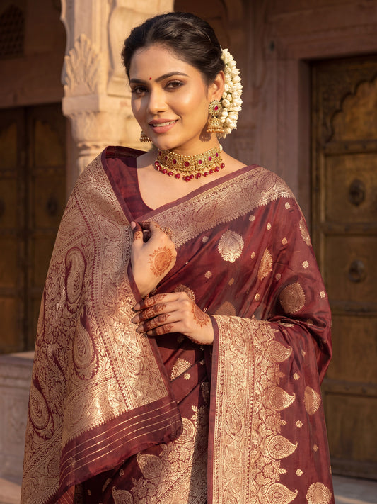 Saree Heritage Coffee Brown Paisley Ensemble