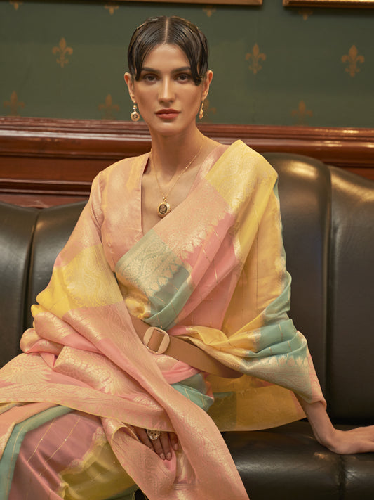 Pastel Multi-Color organza Saree