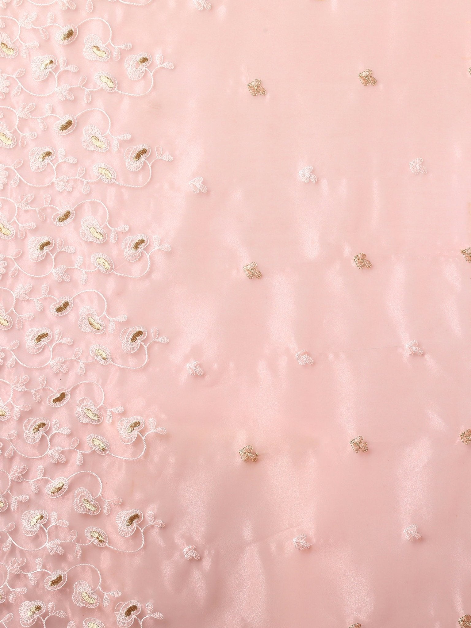 Blush Pink Organza Saree with Chikankari Embroidery & Gold Zari Buti - Ressa