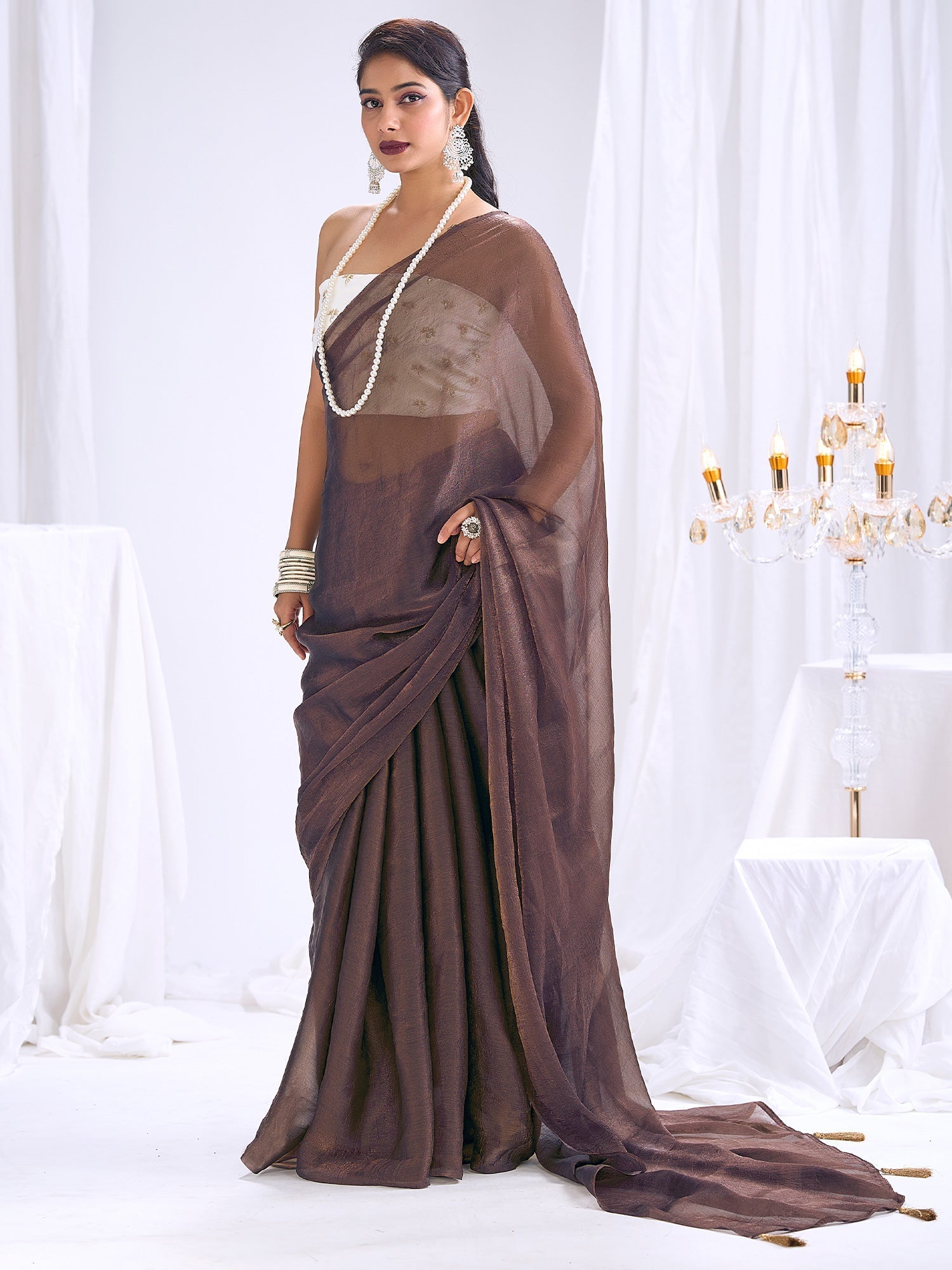 Chocolate Brown Organza Saree with Embroidered Blouse - Ressa