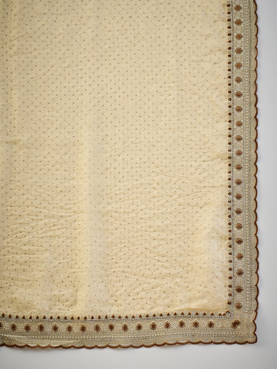 Cream Tissue Silk Partywear Saree - Ressa