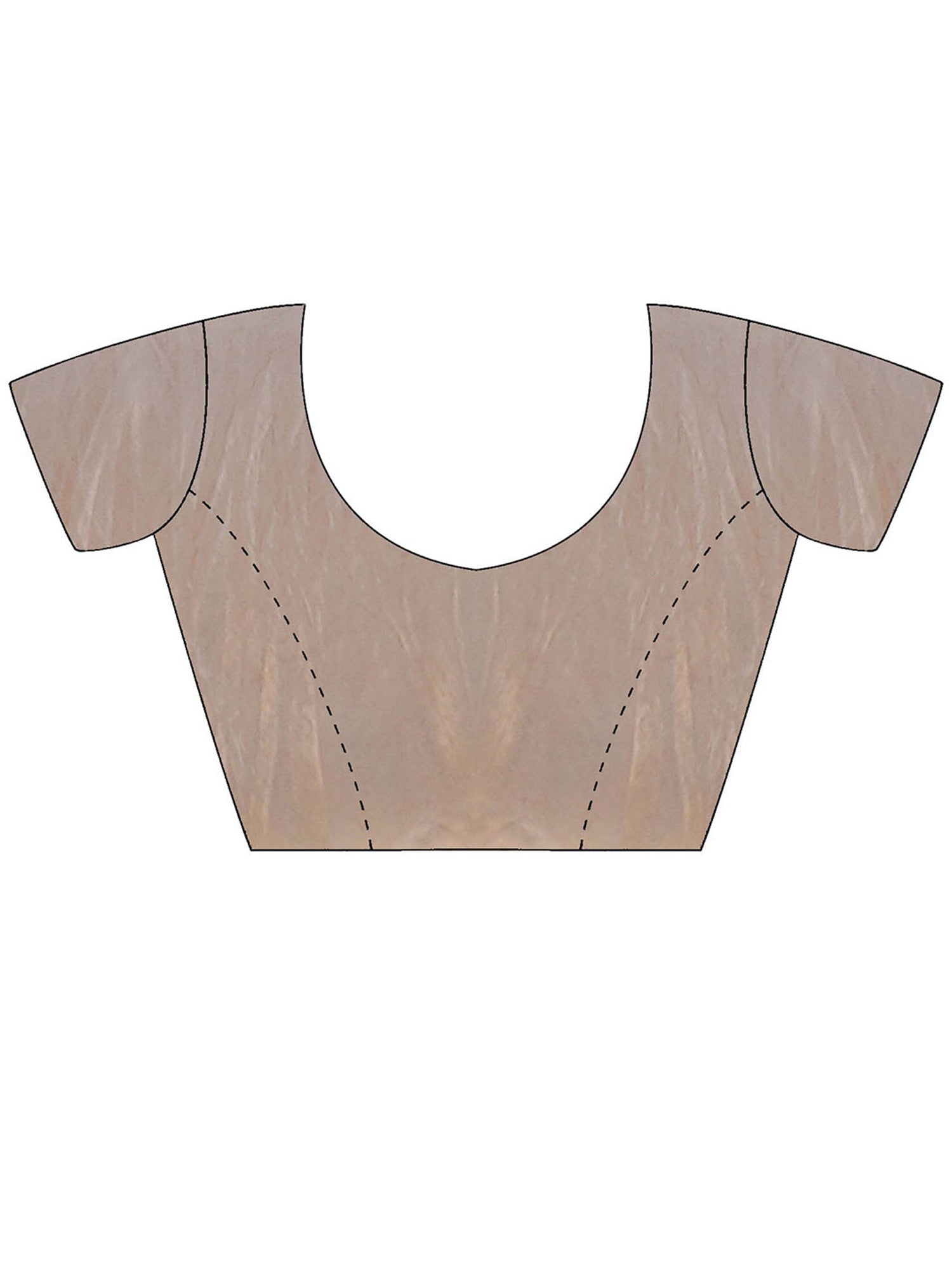 Metallic Shimmer Tissue Saree - Ressa