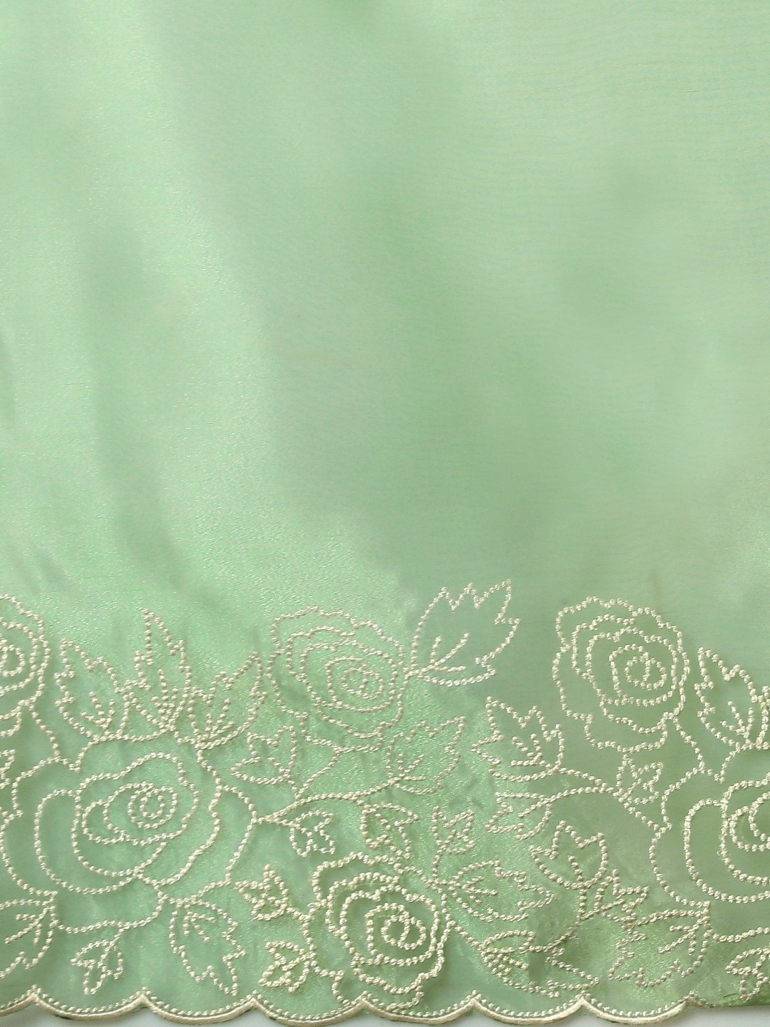 Mint Green Organza Saree with Floral Embroidery Border - Ressa