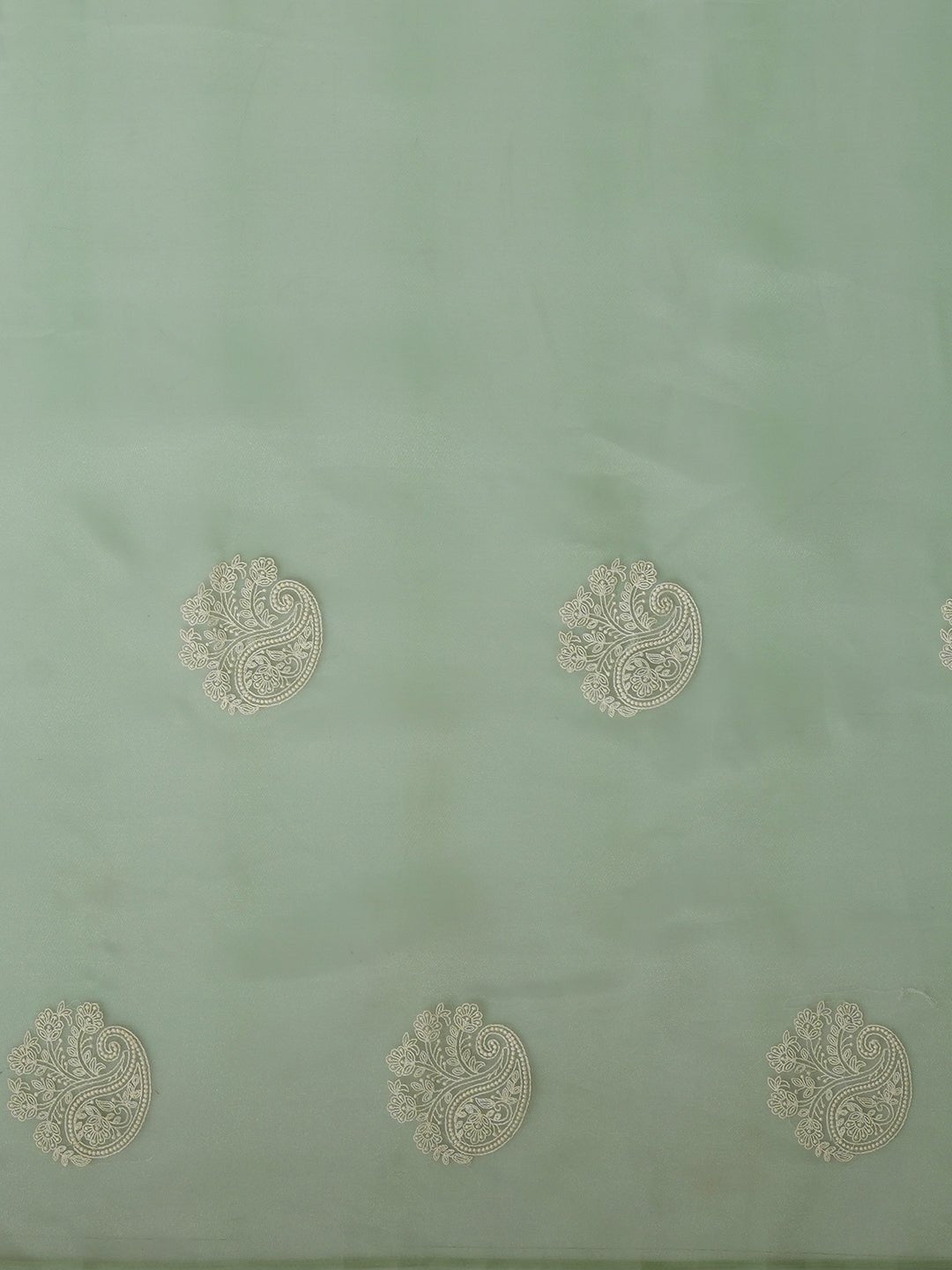 Mint Green Organza Saree with Zari Paisley Booties - Ressa