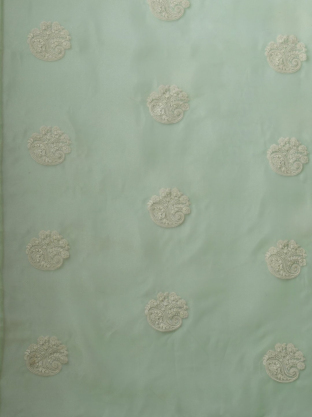 Mint Green Organza Saree with Zari Paisley Booties - Ressa