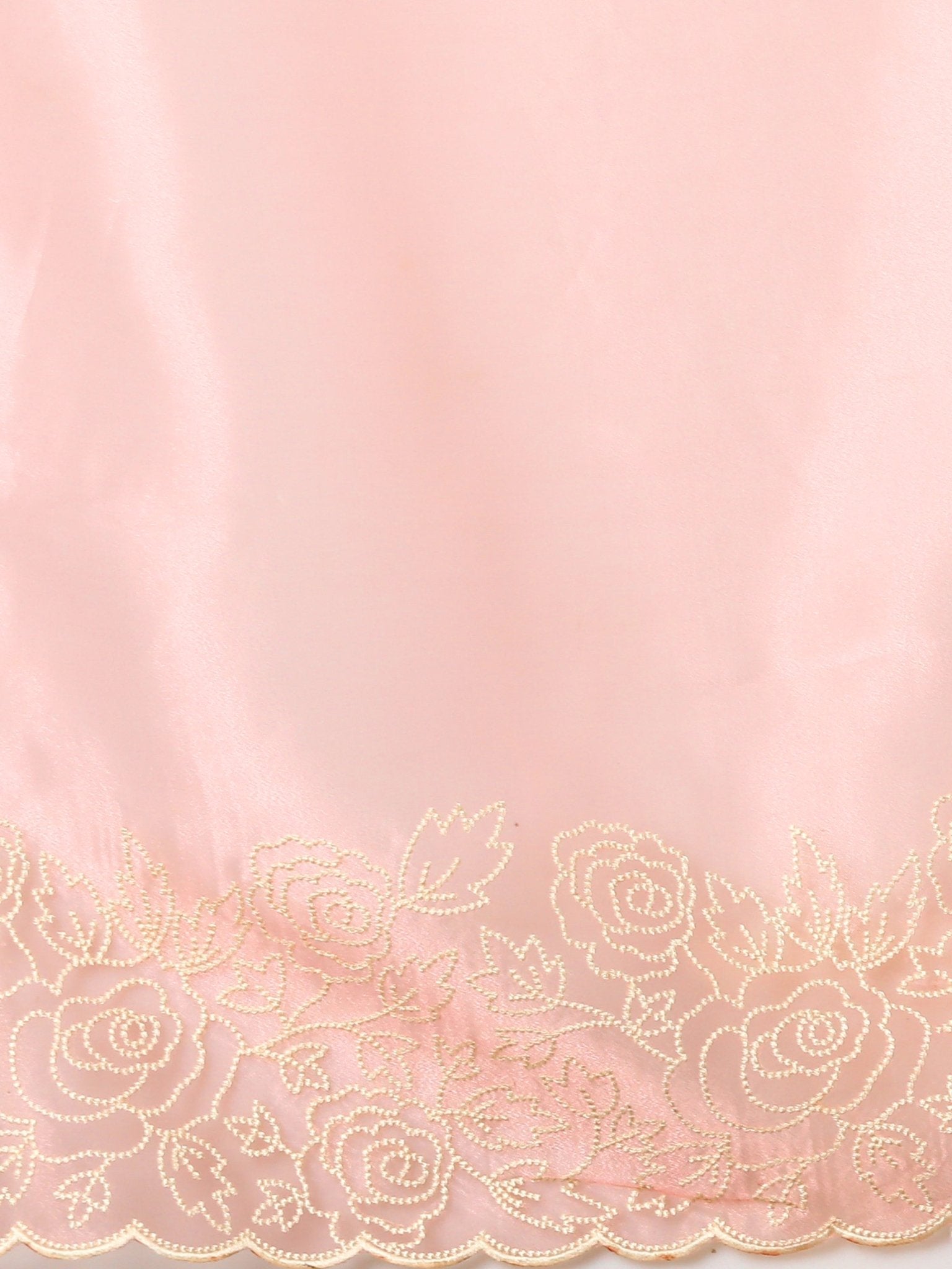 Pink Organza Saree with Rose Embroidery Border - Ressa