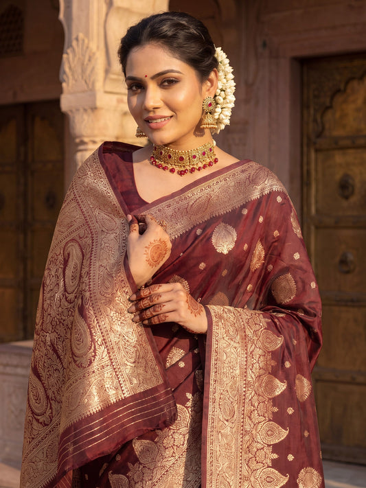 Saree Heritage Coffee Brown Paisley Ensemble - Ressa